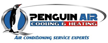 Logo for Penguin Air