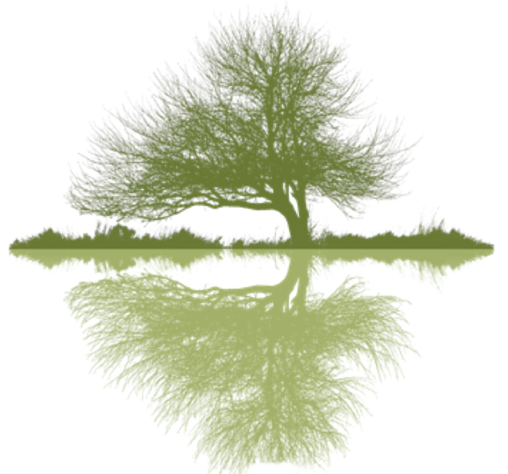 Remi's Tree Service LLC logo