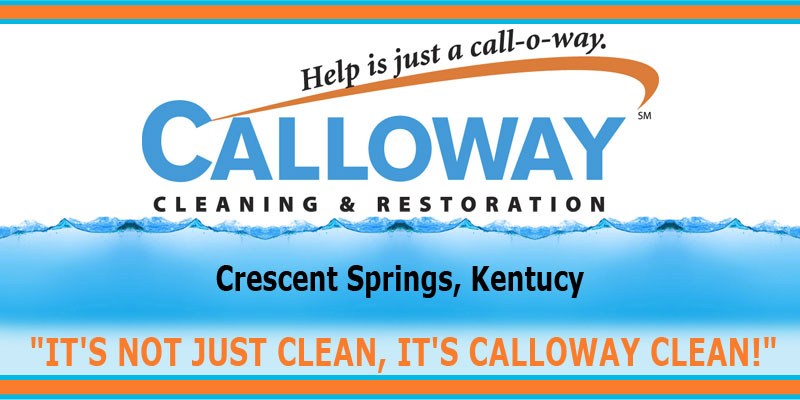 Avatar for Calloway Cleaning & Restoration
