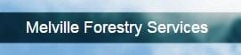 Martin Melville Tree Service logo