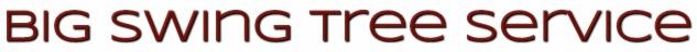 Logo for Big Swing Tree Service LLC