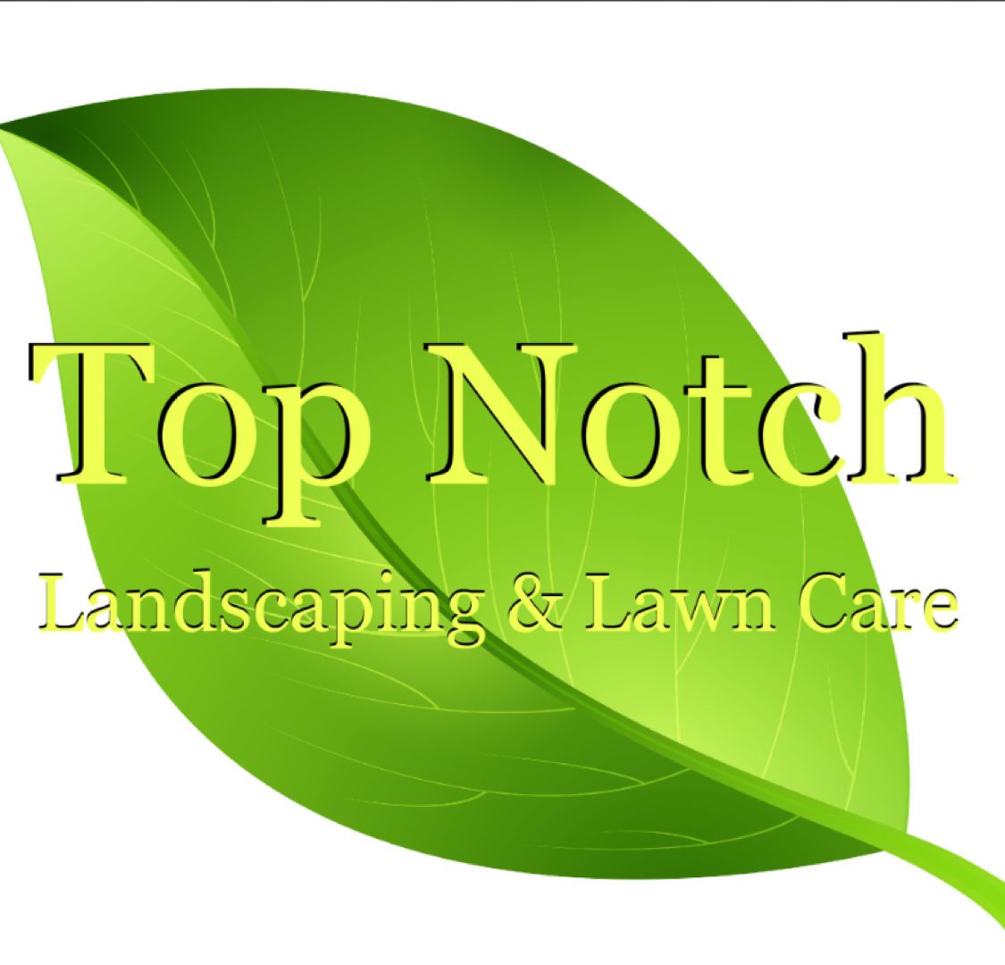 Avatar for Top Notch Landscaping and Lawn Care
