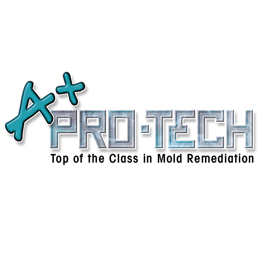 Avatar for A+ Pro-Tech LLC