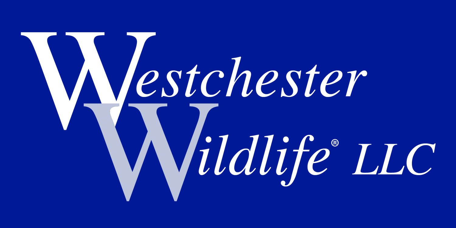 Westchester Wildlife LLC logo