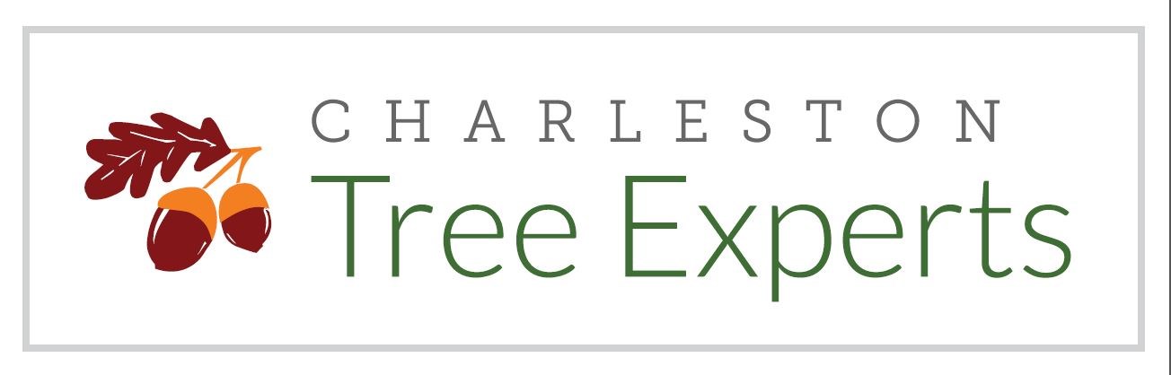 Logo for Charleston Tree Experts