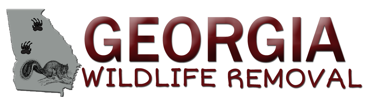 Logo for Georgia Wildlife Removal