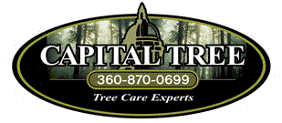 Logo for Capital Tree Experts