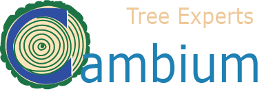 Logo for Cambium Tree Service