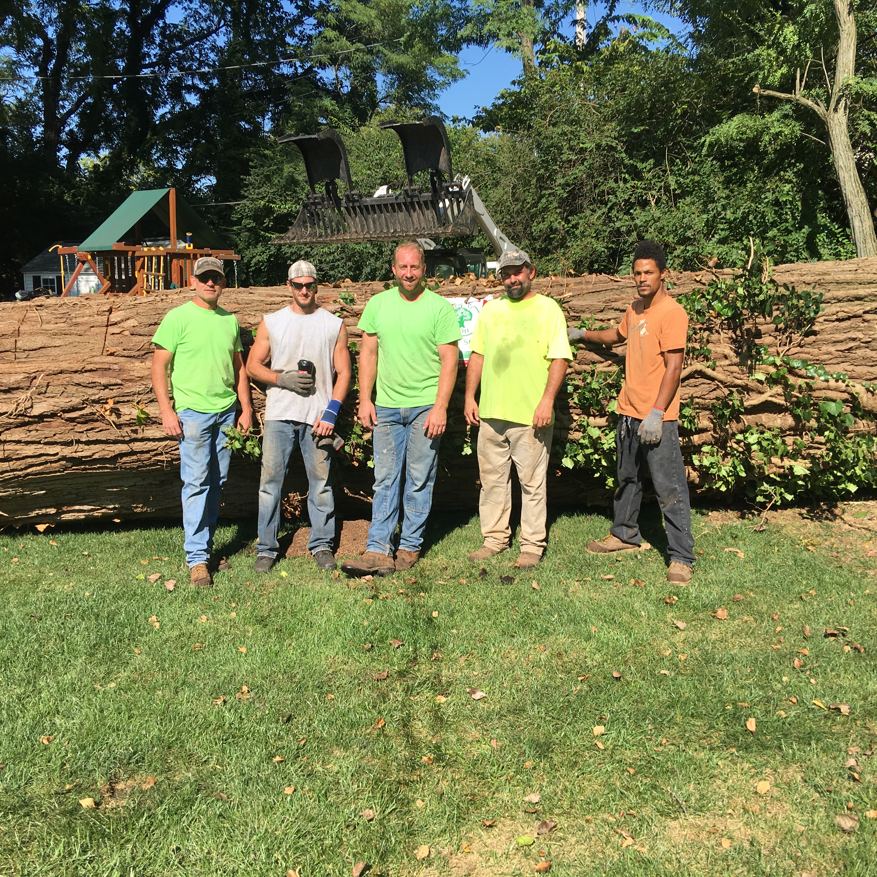 Logo for 3n1 Tree Service