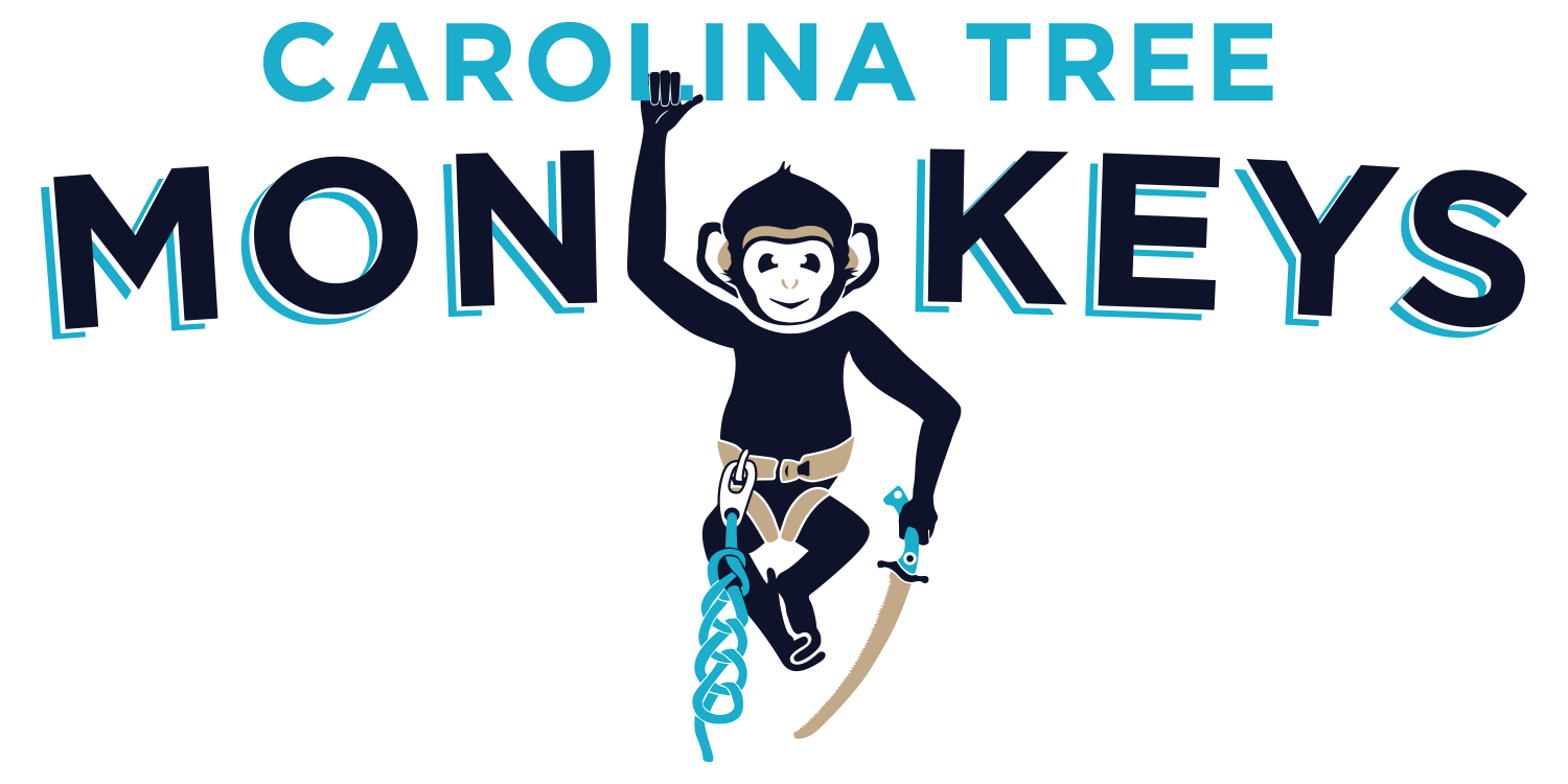Logo for Carolina Tree Monkeys