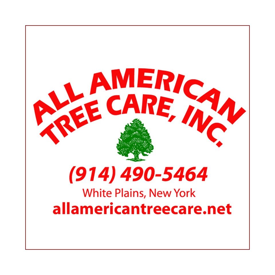 Logo for All American Tree Care