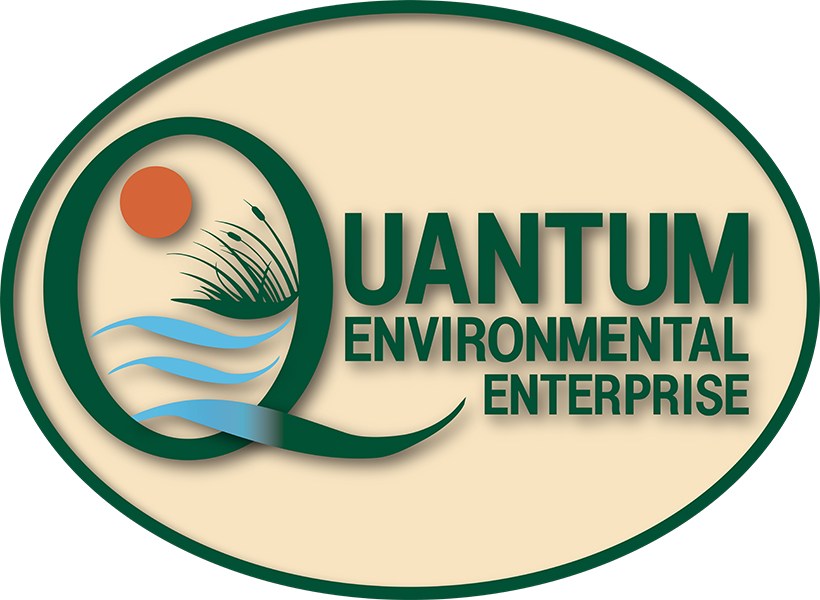 Logo for Quantum Environmental Enterprise