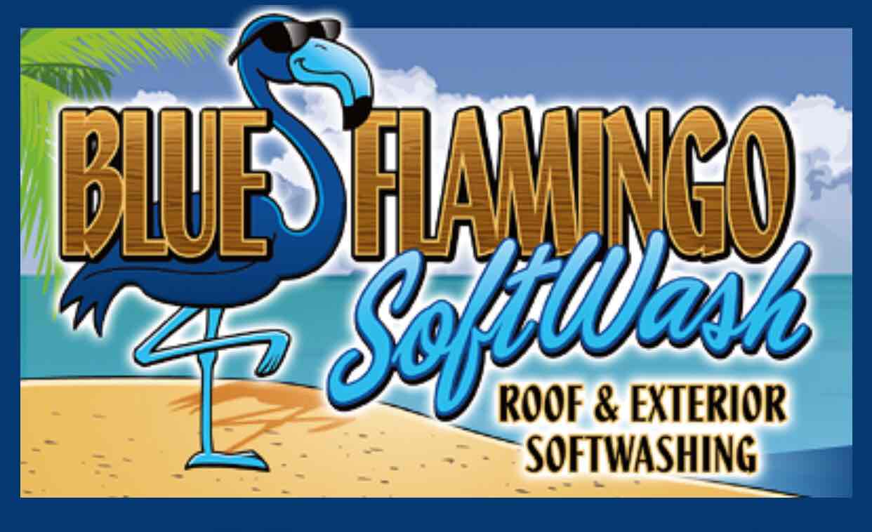 Logo for Blue Flamingo SoftWash