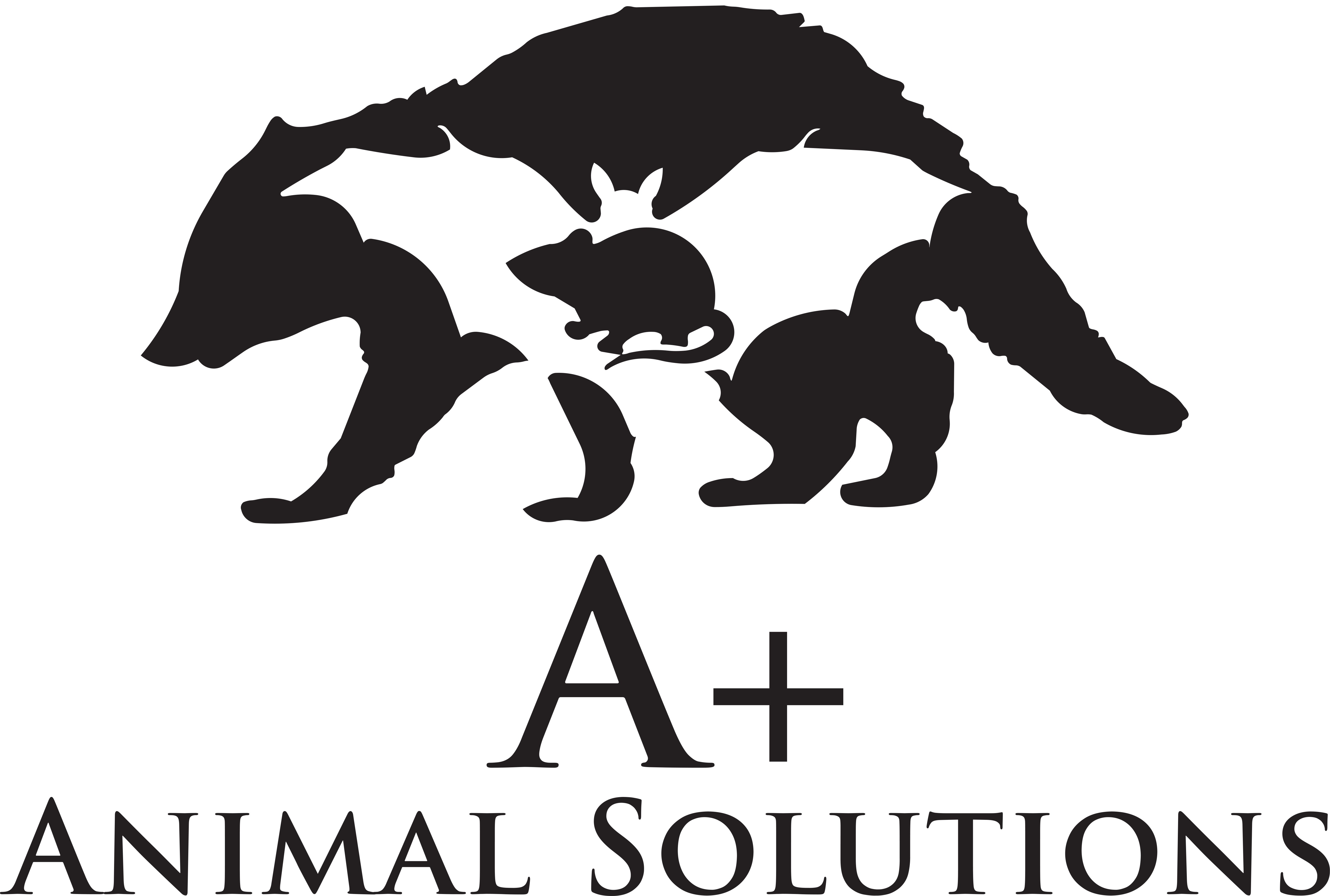 Logo for A Plus Animal Solutions