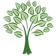 North Raleigh Tree Service logo