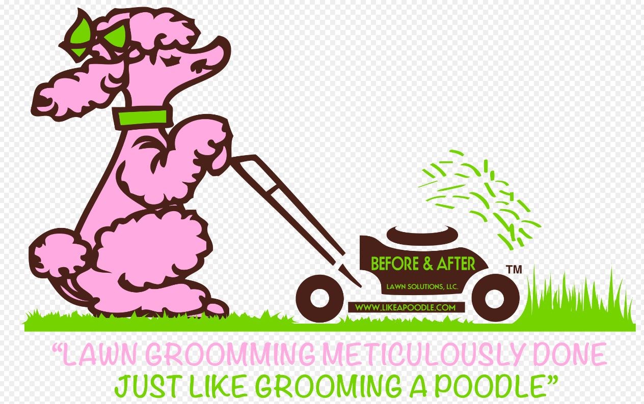 Avatar for Before and After Lawn Solutions LLC