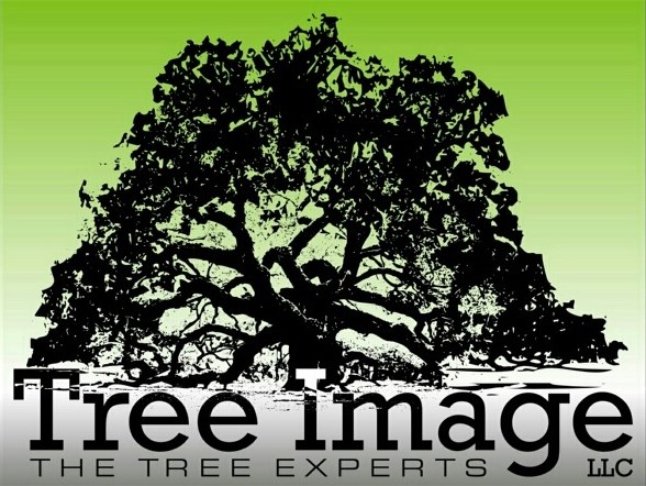 Logo for Tree Image LLC