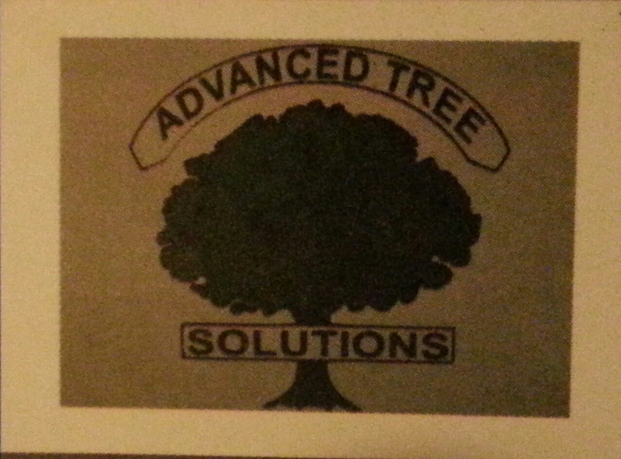 Logo for Advanced Tree Solutions