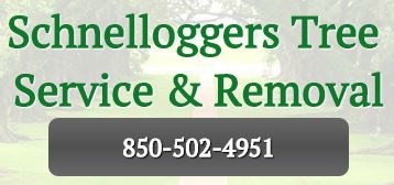 Logo for Schnelloggers Tree Service