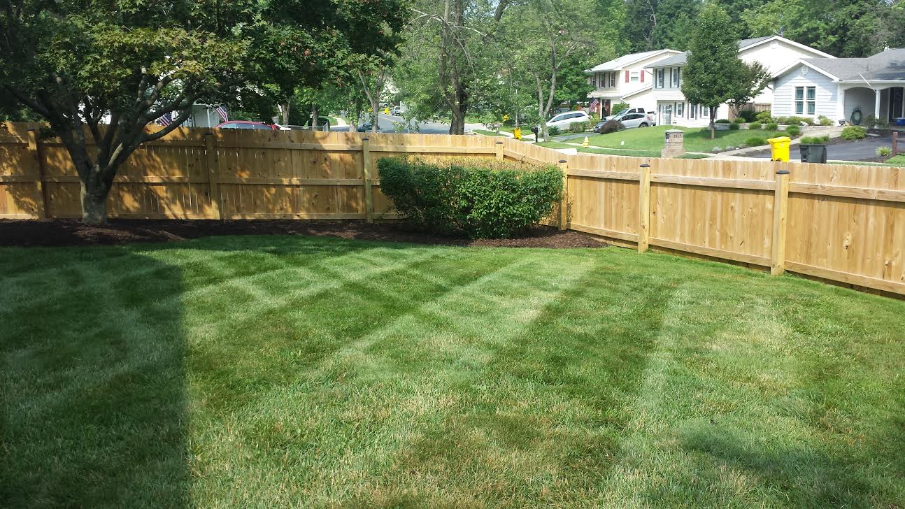 Avatar for Ace Lawn & Landscaping
