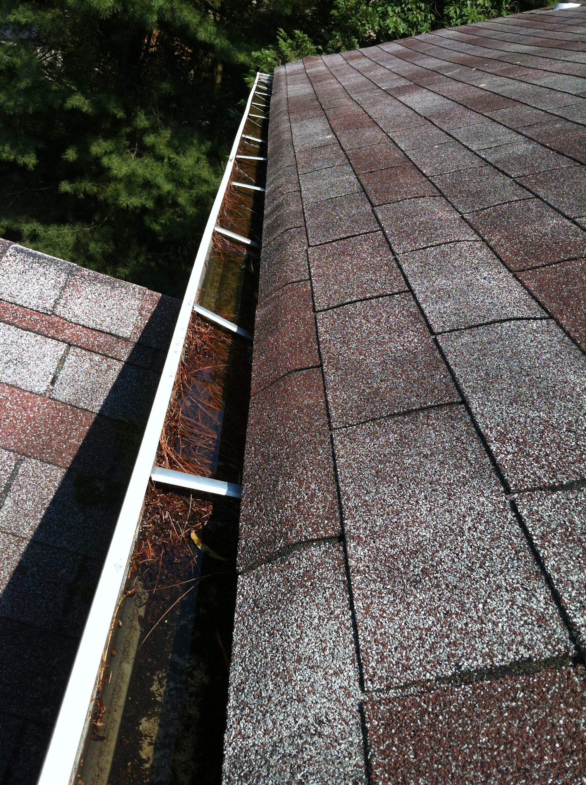 Avatar for Roswell Gutter Cleaning & Installation