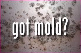 Logo for Mold Remediation Specialists