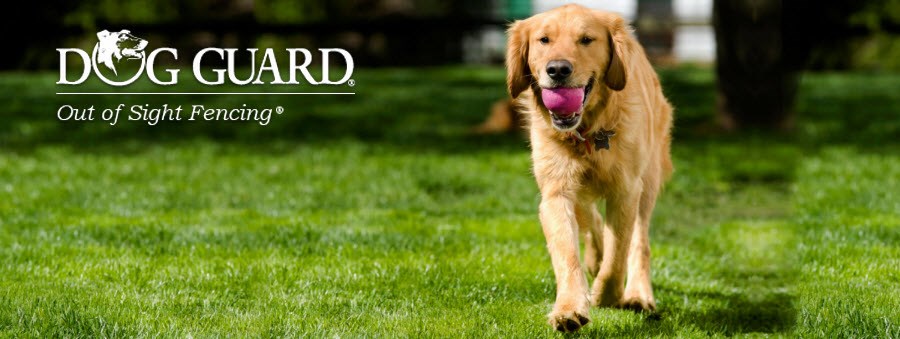 Avatar for Dog Guard Pet Fencing