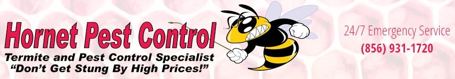Logo for Hornet Pest Control