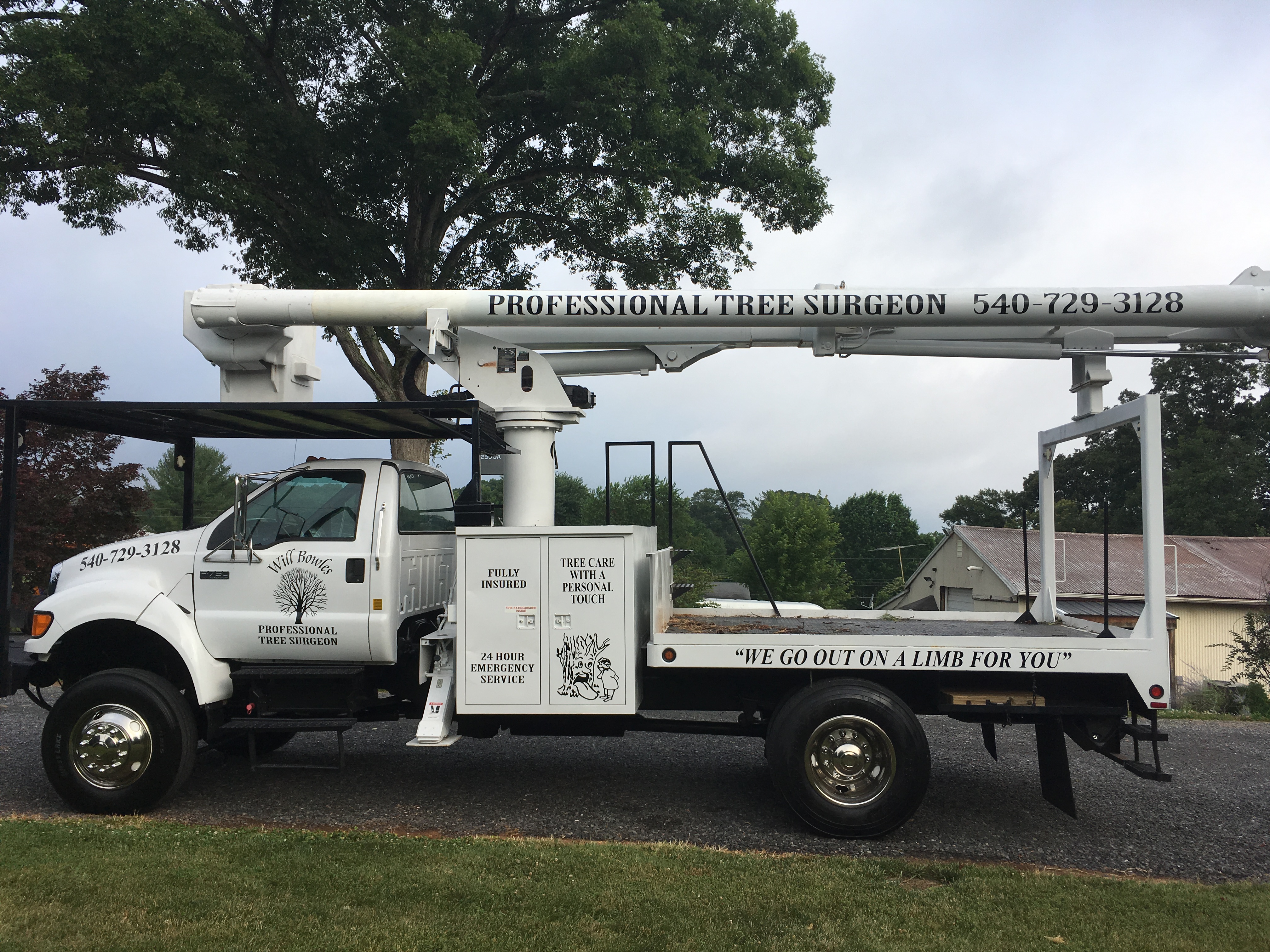 Logo for Professional Tree Surgeon