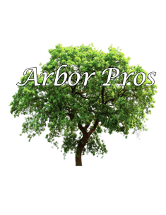 Logo for Arbor Pros Of Asheville
