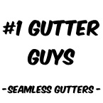 Logo for #1 Gutter Guys