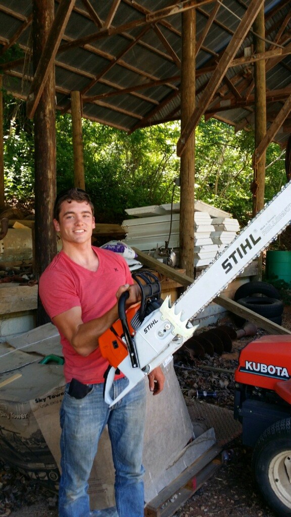 Jay's Tree Service logo