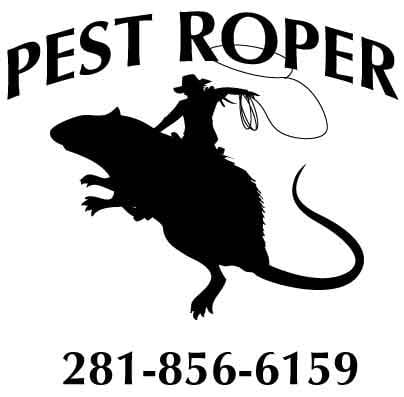 Avatar for Pest Roper