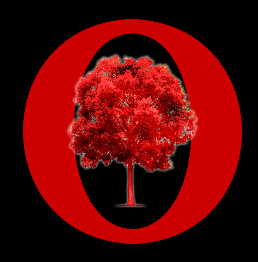 JD Orion Tree Service LLC logo