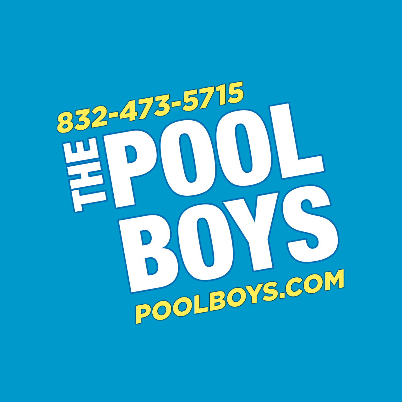 Logo for The Pool Boys