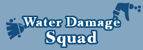 Logo for Water Damage Squad
