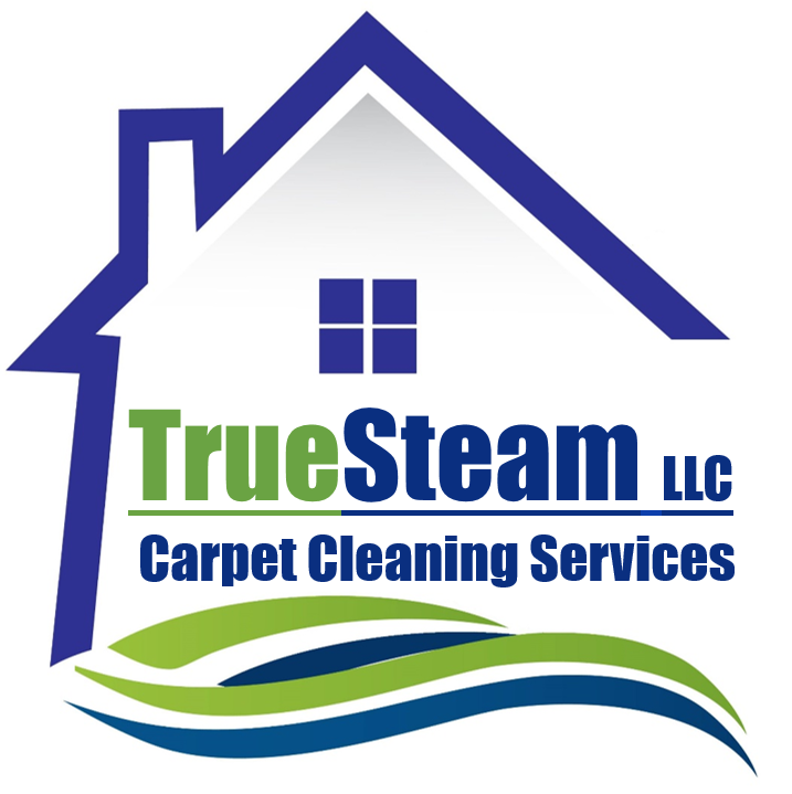 Logo for True Steam LLC
