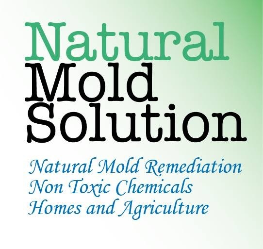 Logo for Natural Mold Solution LLC