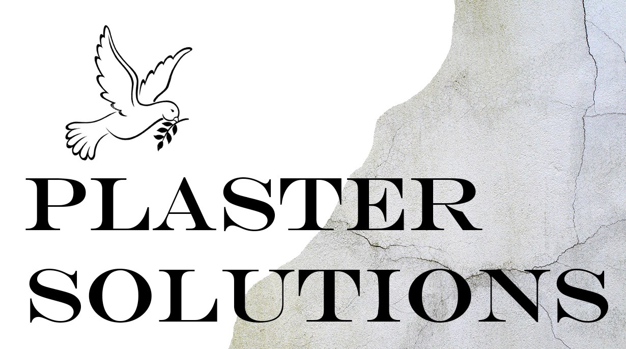 Avatar for Plaster Solutions