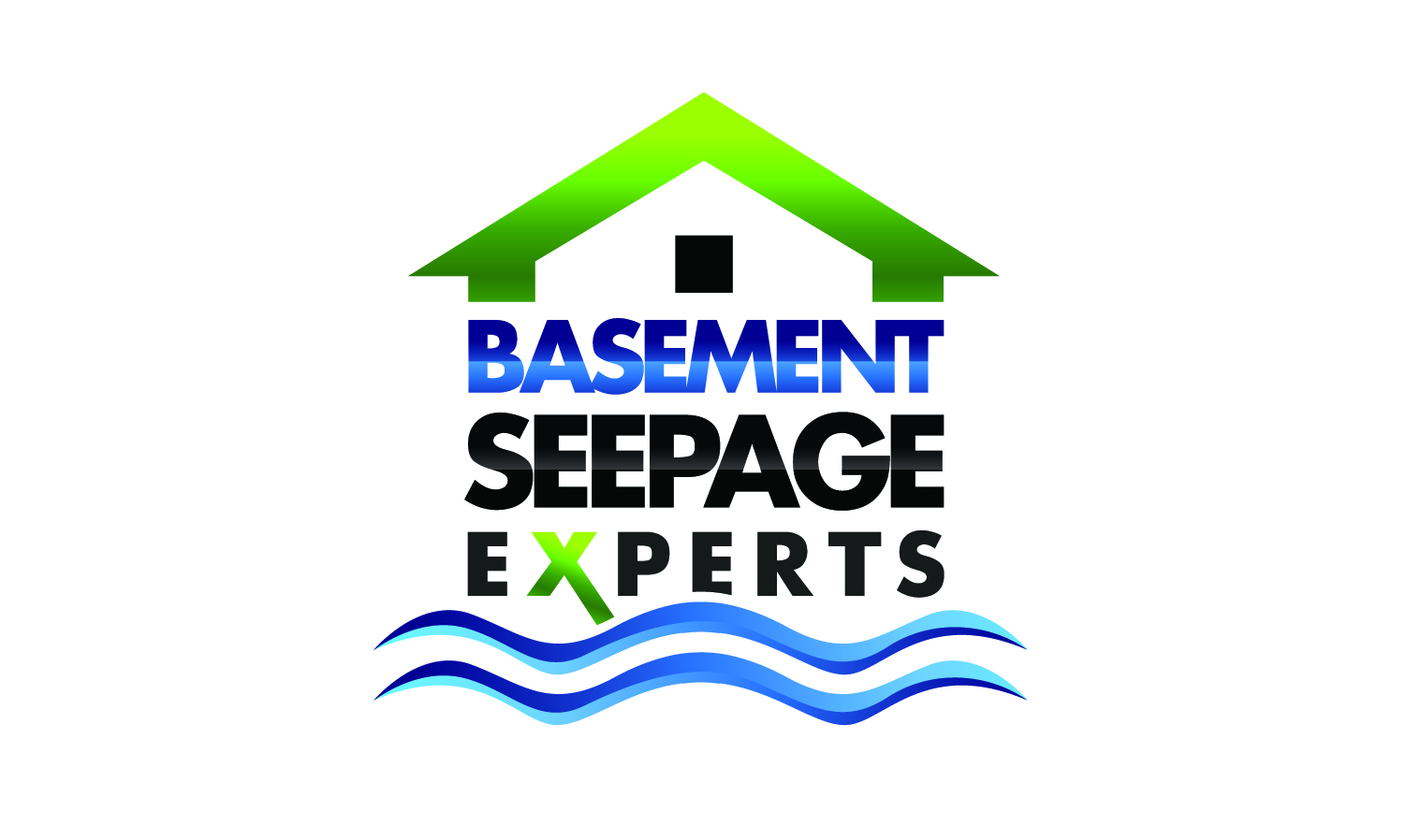 Basement Seepage Experts logo
