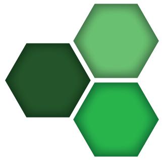 Snosrap Enterprises Inc logo