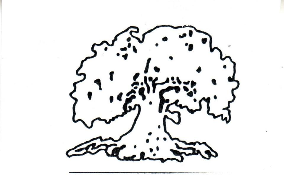 Logo for A CUT ABOVE TREE & LANDSCAPE