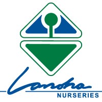 Logo for LANOHA NURSERIES