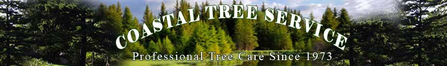 COASTAL TREE SERVICE, LLC logo