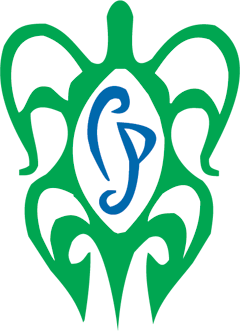 Conover Plumbing logo