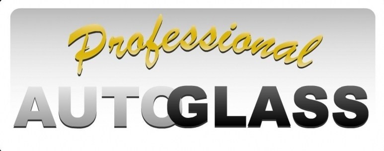 Logo for PROFESSIONAL AUTO GLASS