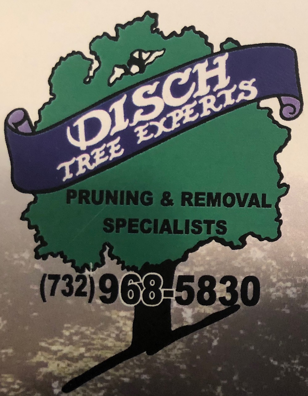 DISCH TREE EXPERTS logo
