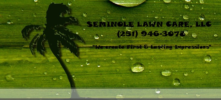 Logo for SEMINOLE LAWN CARE