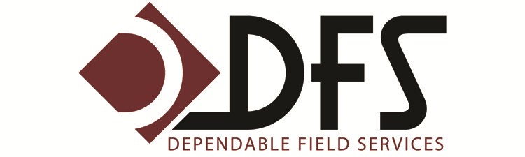 DFS In-Home Services logo