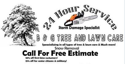 B & G Tree and Lawn Care logo